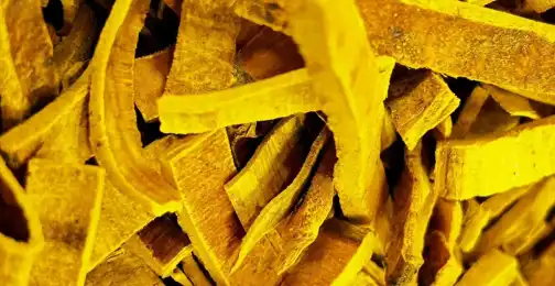 Exploring the Antioxidant Potential of Phellodendron Extract for Skin Health